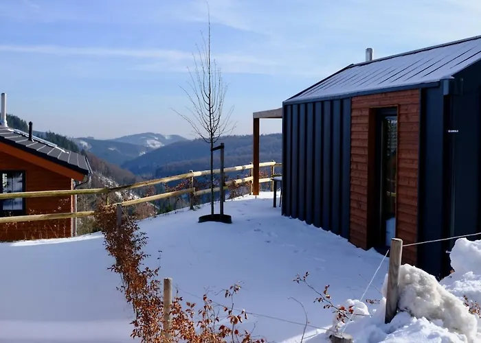 Villa UplandParcs Winterberg